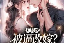 完结版《开局就被逼改嫁？我转身去寻夫》章节阅读-书格格