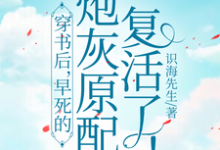 阮昭秦宗伍小说叫什么(穿书后,早死的炮灰原配复活了!完整版免费阅读)-书格格