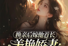 换亲后嫁他首长，美艳娇妻赢麻了沈叶柠陆正骁，换亲后嫁他首长，美艳娇妻赢麻了在线无弹窗阅读-书格格