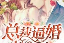 商臻封行焱小说在线章节免费阅读（总裁逼婚100次无弹窗无删减）-书格格