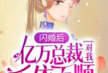 哪里能找到闪婚后,亿万总裁对我千依百顺小说的最新更新和免费章节?-书格格