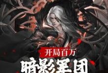 楚渊小说开局百万暗影军团!缔造不朽帝朝章节免费阅读-书格格