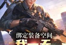 小说完整版《绑定装备空间,我一天剿灭匪寇》免费阅读-书格格