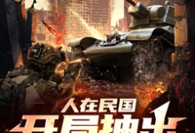 苏墨小说哇哇哇哇！身处民国的我变大佬在线阅读章节-书格格