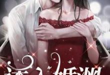 求诱入婚渊小说免费资源-书格格