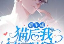 完结版《重生成猫后我踹了影帝》免费阅读-书格格