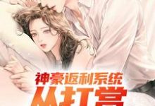 神豪返利系统：从打赏女团开始小说，神豪返利系统：从打赏女团开始在线阅读-书格格