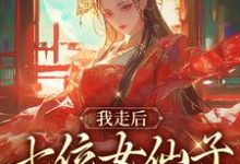 已完结小说《我走后，七位女仙子回首说爱我》最新章节-书格格