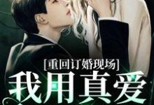 重回订婚现场,我用真爱报以情沐宛况野小说在线章节免费阅读-书格格