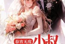 已完结小说《春宵无度:小叔宠我上天》章节免费阅读-书格格