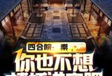 求推荐可以免费阅读四合院：秦，你也不想棒梗进牢吧小说的网站-书格格