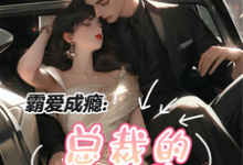 霸爱成瘾：总裁的小逃妻完整版小说，霸爱成瘾：总裁的小逃妻叶沁江浩城-书格格