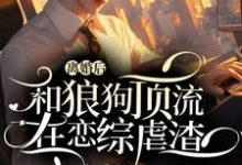 小说《离婚后和狼狗顶流在恋综虐渣》在线章节阅读-书格格