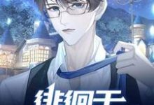 凌桦季景霄小说【ABO】徘徊于黑化的边缘在线阅读章节-书格格