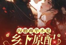 闪婚两年不见，乡下原配来随军这本小说完结了吗？免费查看最新章节-书格格