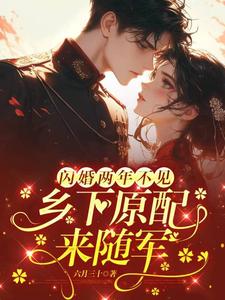 闪婚两年不见，乡下原配来随军这本小说完结了吗？免费查看最新章节