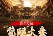 嬴启完整版《诛杀反贼，觉醒大秦千年气运》小说免费阅读-书格格