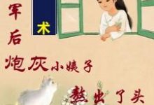 吴妮妮叶泽川完整版小说免费阅读-书格格