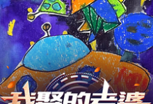 已完结小说《我娶的老婆在过去》章节在线阅读-书格格