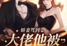 娇妻驾到，大佬他被仨娃整顿完整版小说，娇妻驾到，大佬他被仨娃整顿最新章节-书格格