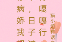 你病娇我超雄，日子过得嘎嘎行楚停澜傅南渊小说免费阅读-书格格