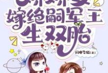 《穿七零，娇娇女嫁绝嗣军王生双胎》完整版小说免费阅读-书格格