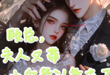 顾总，夫人又带小少爷认爹去了完整版小说，顾总，夫人又带小少爷认爹去了顾知衍苏禾-书格格