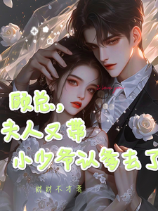 顾总，夫人又带小少爷认爹去了完整版小说，顾总，夫人又带小少爷认爹去了顾知衍苏禾