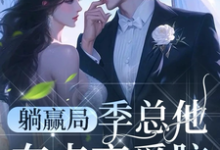 已完结小说《躺赢局：季总他有点恋爱脑》章节在线阅读-书格格