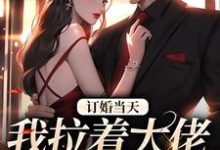 求订婚当天，我拉着大佬去领证小说免费资源-书格格