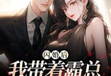 哪里能找到闪婚后，我带着霸总杀回绿茶家小说的全部章节？-书格格