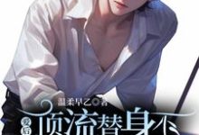 完结版《顶流替身不爱后，渣男变舔狗了》免费阅读-书格格