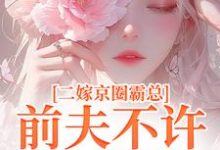 完整版小说《二嫁京圈霸总,前夫不许来捣乱》免费阅读-书格格