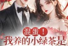 混蛋！我养的小绿茶是京圈太子爷小说全文哪里可以免费看？-书格格