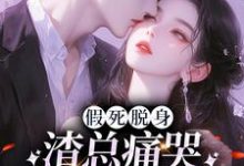 苏黎傅念琛小说叫什么（假死脱身，渣总痛哭流涕求我归家完整版免费阅读）-书格格