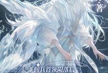 在线寻找佣兵首领陨落后，被小人鱼救赎了小说的无删减版本-书格格