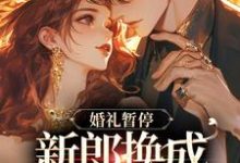 白月光婚约作废,机长趁机上位小说最新章节在哪里可以读到?-书格格