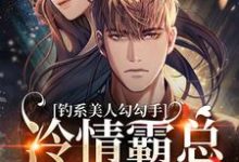 求钓系美人勾勾手,冷情霸总变疯狗小说免费资源-书格格