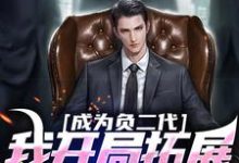 苏辰完整版《成为负二代,我开局拓展海外市场》小说免费阅读-书格格