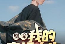 《凰命：我的官场人生》小说大结局免费试读 徐雨萌白苏凡小说-书格格