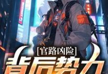 完整版小说《官路凶险，背后势力怎么除》免费阅读-书格格
