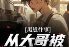 宋雁平小说完整版《黑道往事：从大哥被暗算开始》免费阅读-书格格