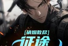 完整版小说《硝烟散尽，征途星辰大海》免费阅读-书格格