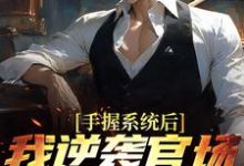小说完整版《手握系统后，我逆袭官场权势巅峰》免费阅读-书格格