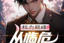 在线免费阅读权力巅峰：从临危受命开始完整小说-书格格