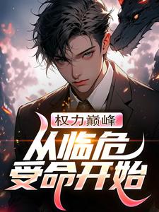 在线免费阅读权力巅峰：从临危受命开始完整小说