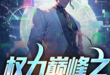 免费看权力巅峰之宦海浮沉小说的网站有哪些？-书格格