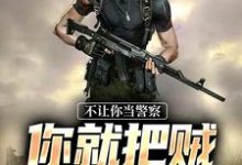 完结版《不让你当警察，你就把贼抓光了？》在线免费阅读-书格格