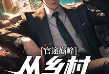 小说《官途巅峰，从乡村书记崛起！》章节免费阅读-书格格