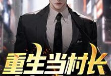 重生当村长，狗都住别墅曹风起小说免费阅读-书格格